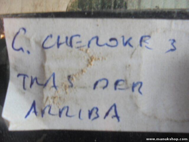 Bisagra de la puerta trasera derecha abajo Jeep Grand Cherokee I ZJ 2.5 TD