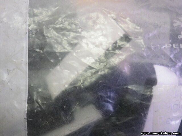 Citroen Peugeot 874561 8745 61