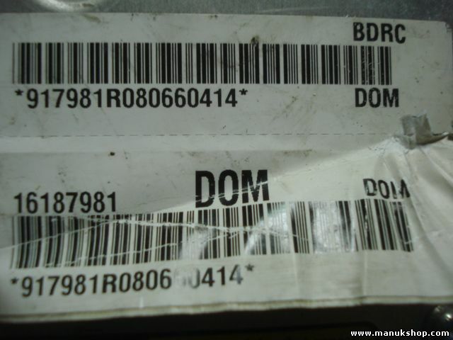 ABS Centralita Pontiac Trans Sport Chevrolet Venture 16187981 D0M BDRC