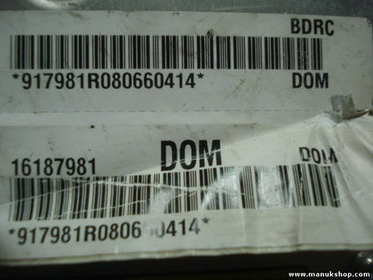 ABS Centralita Pontiac Trans Sport Chevrolet Venture 16187981 D0M BDRC
