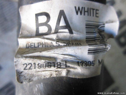 Amortiguador Land Rover Freelander LN 1.8 22190618L 17305M DELPHI