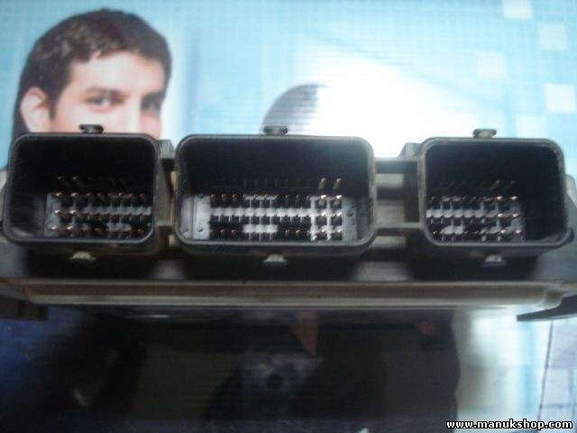 Centralita del motor Renault Scenic Megane 1.9 8200391966 8200386508 0281011776