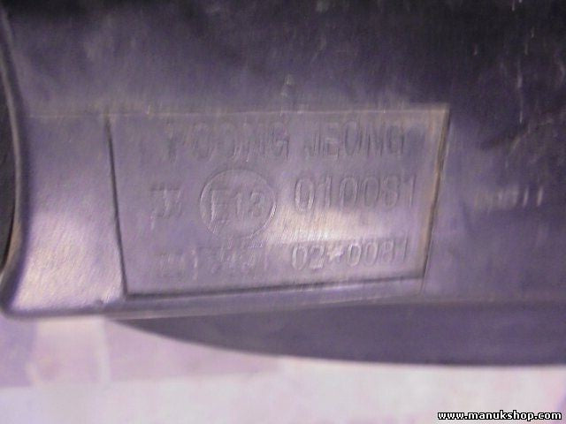 Espejo retrovisor exterior izquierdo electrico Hyundai Santa Fe E13010081