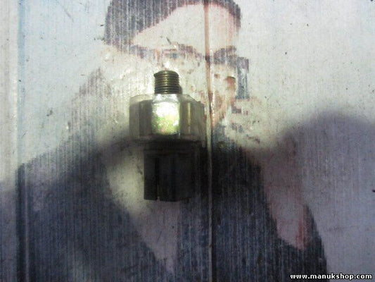 Sonda de temperatura del sensor Nissan Terrano Ford Maverick 99 II P15