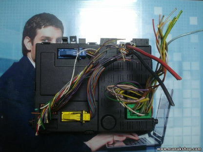 BSI Scatola fusibili Citroen Xsara BSIN7 D2 9645148980 VALEO 73007512 soft.V3.51