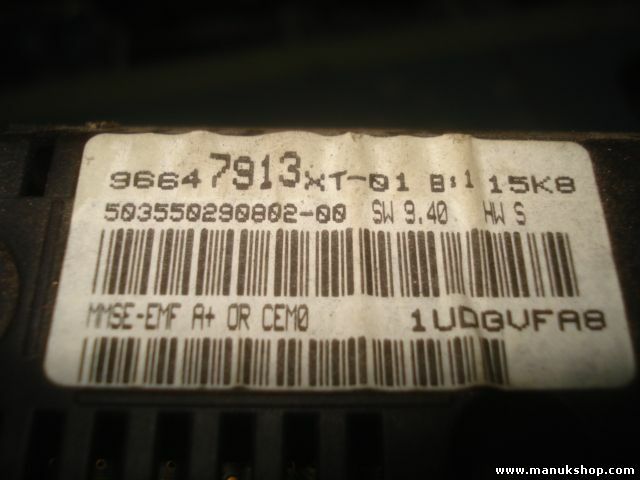 Pantalla del salpicadero Peugeot 207 96647913XT01 96647913XT-01 96647913XT