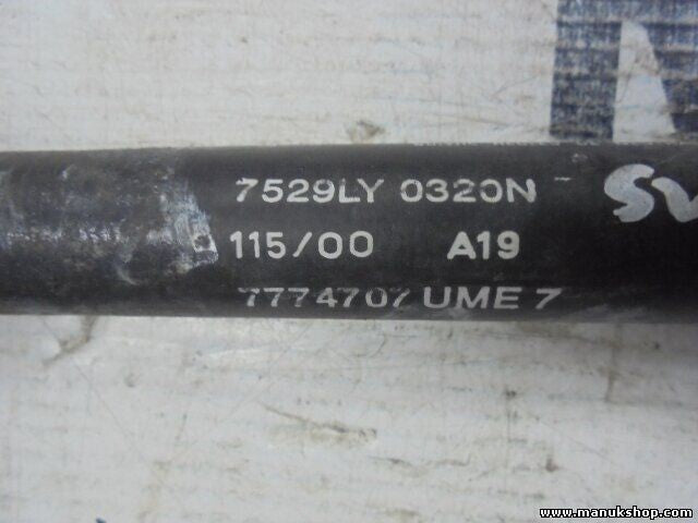 Portón Trasero amortiguador Fiat Bravo 1998 - 2003 7529LY 0320N 7529LY0320N