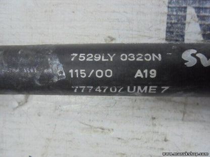 Portón Trasero amortiguador Fiat Bravo 1998 - 2003 7529LY 0320N 7529LY0320N