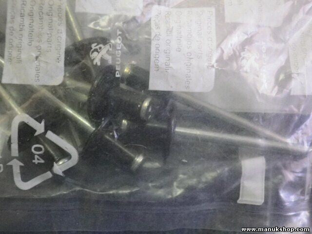Remache Citroen Peugeot 6973C5 6973 C5