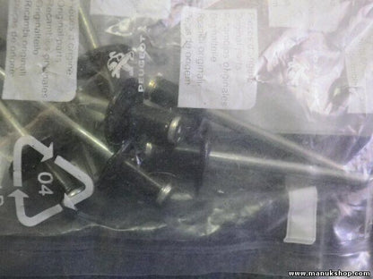 Remache Citroen Peugeot 6973C5 6973 C5