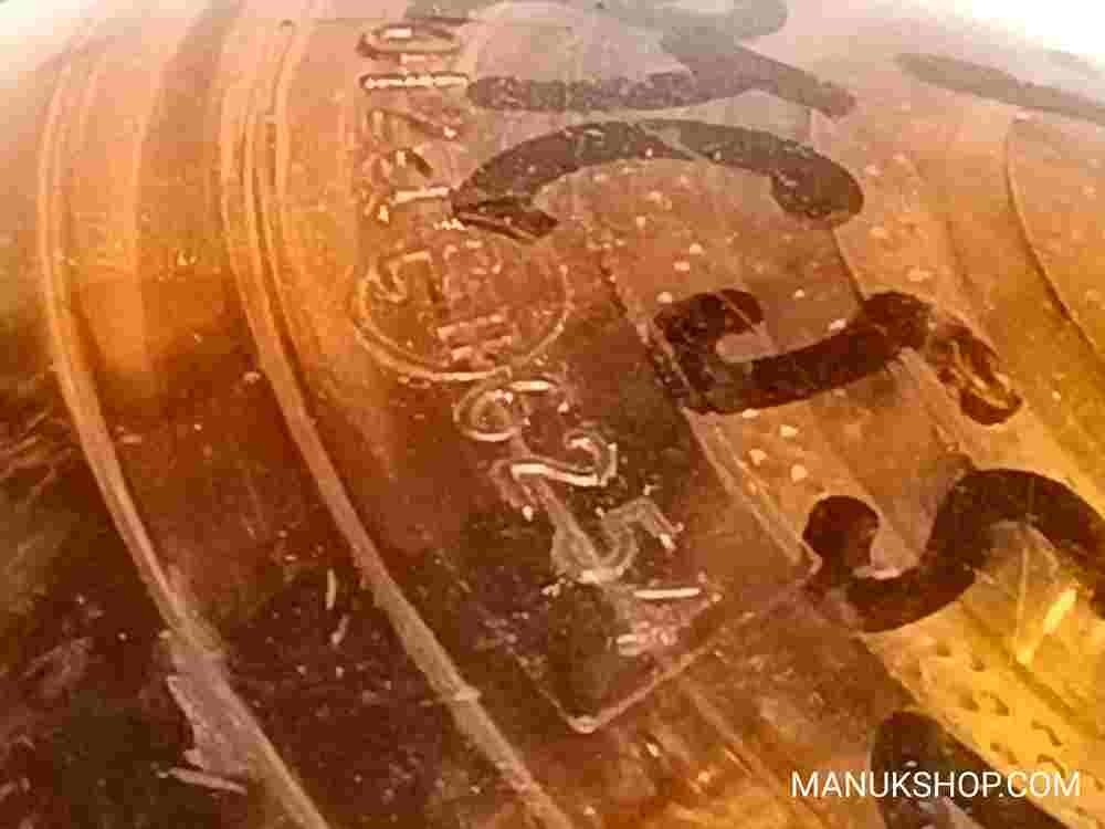 Intermitente trasero izquierdo Land Rover Defender 90/110 RTC5524