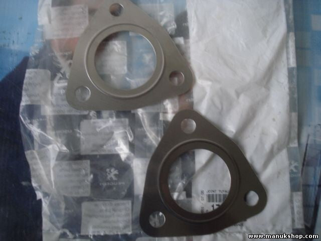 sello de tubo delantero Citroen Peugeot 171058 1710 58