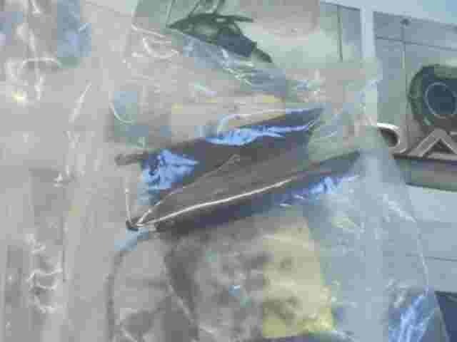 Cover Specchio Interno RR Vista Toyota Lexus RX 350 GX 460 8781804010 87818-0...