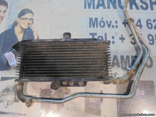 Radiador de agua Jeep Grand Сherokee 4X4 Limited 52027796 59538 T344081104