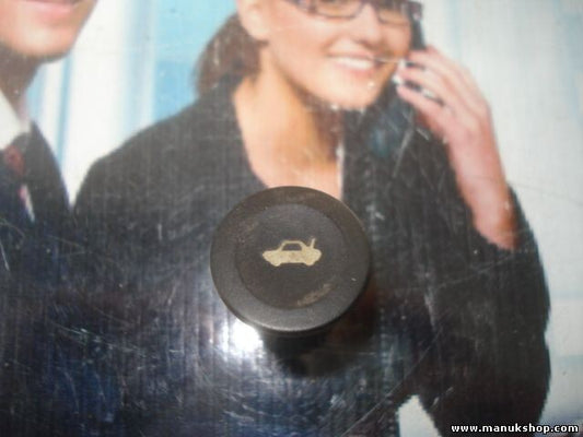 Interruptor apertura portón trasero Ford Fiesta IV 1.4 TDCI D3L0A 2S6T198514AA