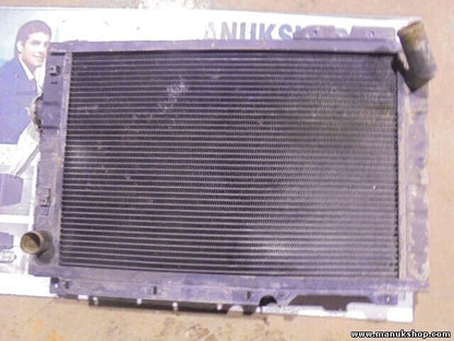 Radiador de agua Tata Safari 1.9 TDi 4x4 1998