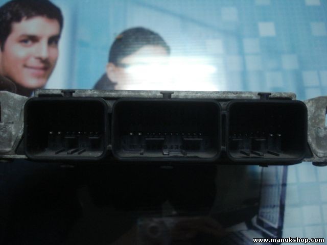 Centralita del motor Peugeot 406 Citroen 9642520780 IAW48P11 9634496280