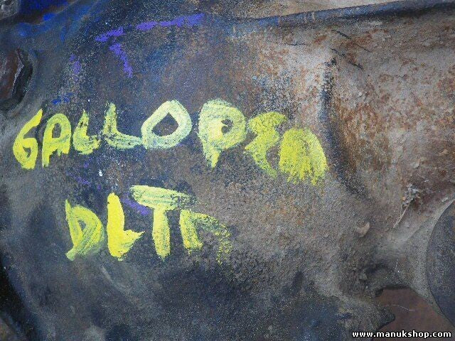 Grupo Diferencial Delantero Hyundai Galloper KN21 7X3631 7X3 631 piñón 41/11