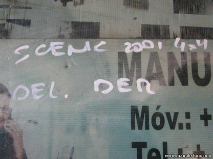 Cristal puerta delantera derecha RENAULT Scenic RX4 4x4 43R00049 DOT24AS2M25 E6