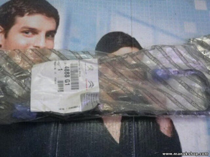 Citroen Peugeot 4888G1 4888 G1