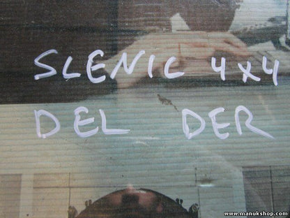 Cristal puerta delantera derecha  RENAULT Scenic RX4 43R00049 DOT24AS2M25 E6