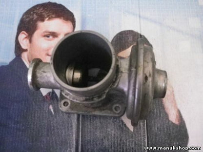 Válvula EGR Land Rover Freelander PIERBURG 72826400 728264 00 778545204