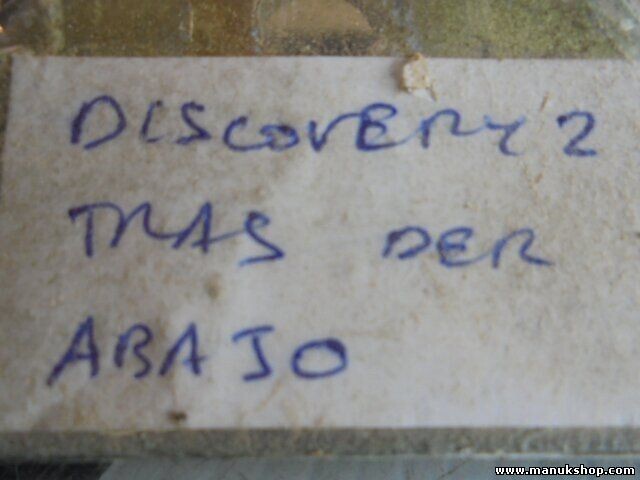 Bisagra de la puerta trasera derecha abajo Land Rover Discovery II LJ, LT 2.5