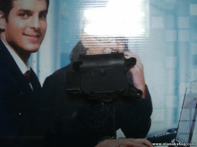 Riscaldamento attuatore Fiat Stilo 192 Bravo Fiat Punto 188 0132801312 A21100100