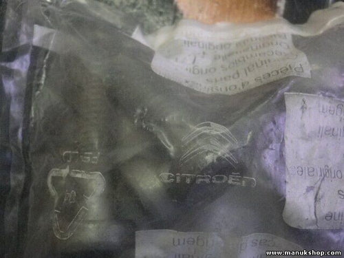 Citroen Peugeot 3522 75 352275 VIS RLX 10X150