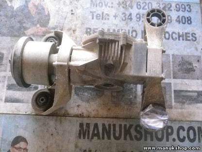 Grupo Diferencial Delantero Renault Scenic RX4 J641340041 024840 024 840