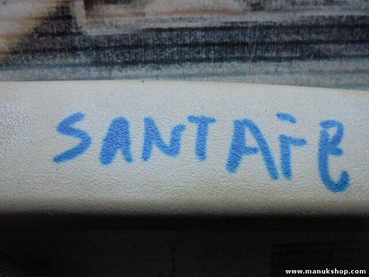 Manillas de asidero interior Hyundai Santa Fé I SM 2.0 CRDi 4x4 2001/04-2006/03