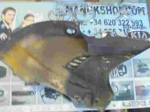 Panel lateral delantero izquierdo BMW F 650 GS R13 F650GS 46632345723