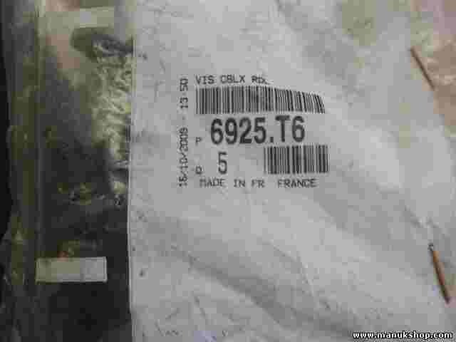 Tornillo Citroen Peugeot 6925T6 6925.T6