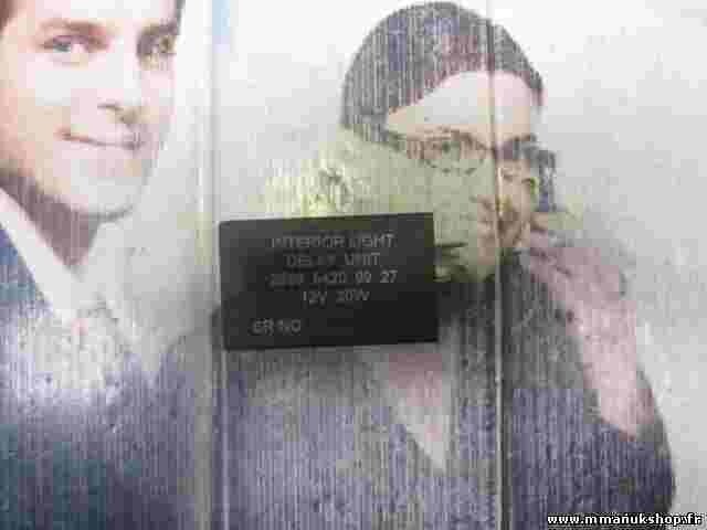 Unidad de retardo de la luz interior Tata Safari 2699 5420 99 27 269954209927