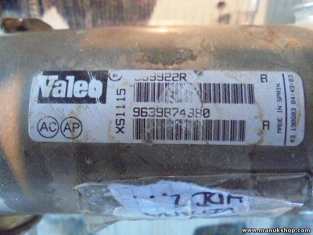 Refrigerador de gas de escape Peugeot Citroen Berlingo Xantia 206 2,0 9639874380