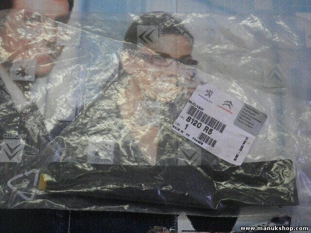 Citroen Peugeot 8120R5 8120 R5