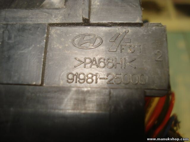 Caja de fusibles Hyundai Accent 91981-25000 9198125000