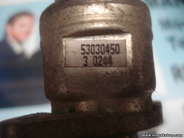 Válvula de control de velocidad de ralentí Jeep Grand Cherokee 53030450 3 0244