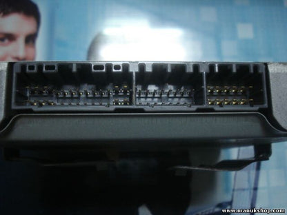 Centralita del motor Suzuki 12V 94/12 IMM 61GB 1120004351 3392061GB0 33920-61GB0