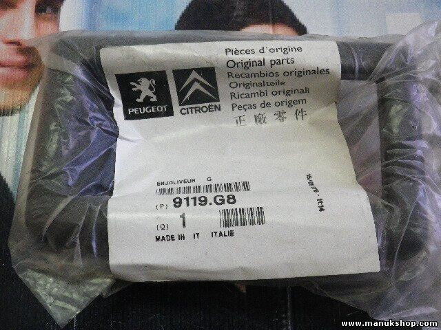 Citroen Peugeot 9119.G8 9119G8