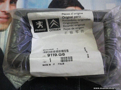 Citroen Peugeot 9119.G8 9119G8