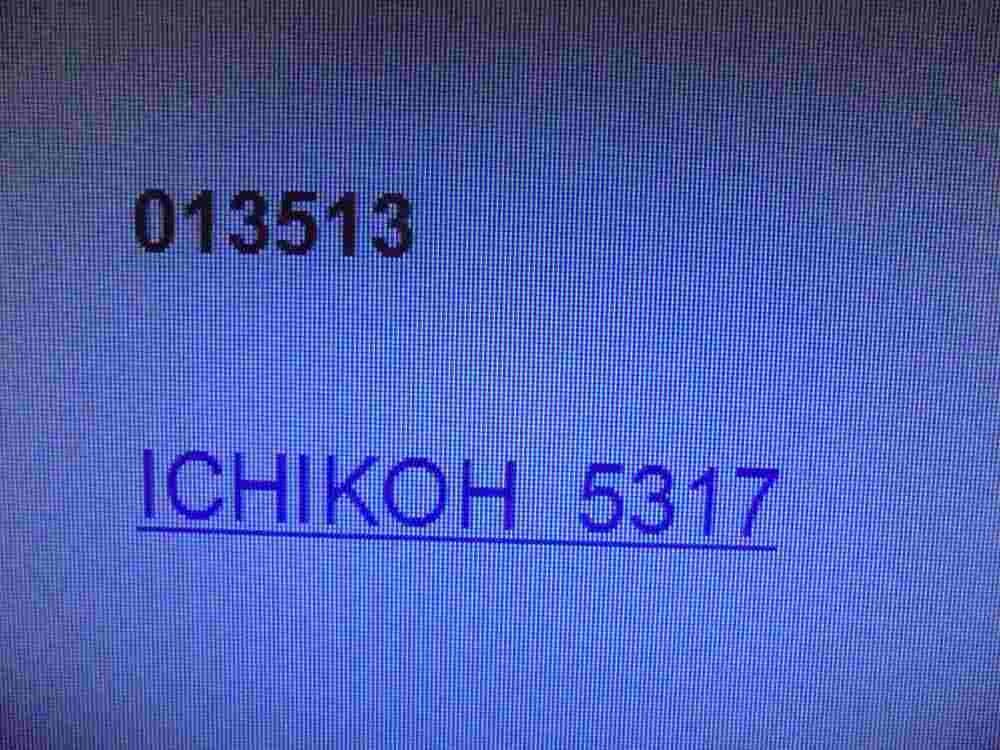 Piloto Lateral Derecho Nissan Navara, D22 013513 ICHIKOH 5317