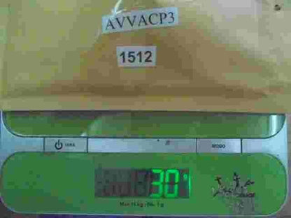 X-contacto del relé Peugeot 106 405 605 Partner Citroen Xantia 91-98 AVVACP3 12V