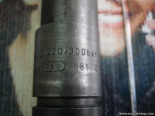 Inyectores VW Audi Skoda Seat 038130202B BOSCH 0 432 193 593 0432193593