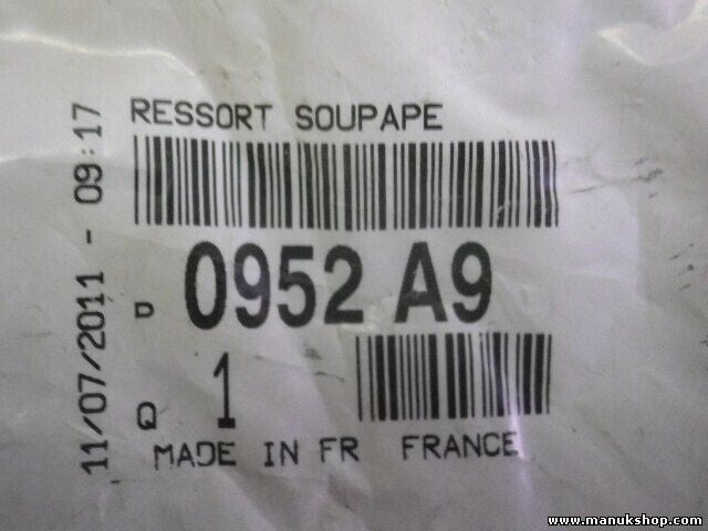 Citroen Peugeot 0952A9 0952.A9