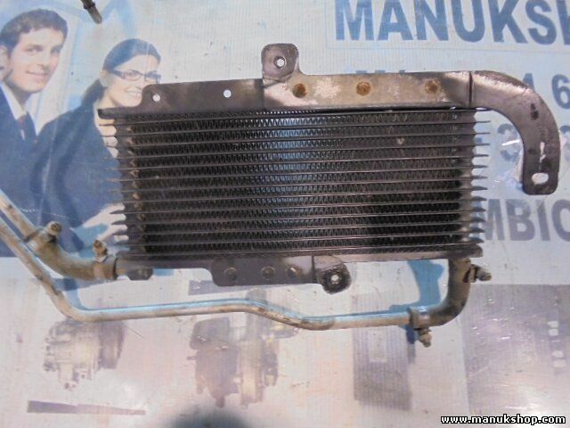 Radiador de agua Jeep Grand Сherokee 4X4 Limited 52027796 59538 T344081104