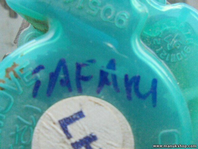 Cinturón de seguridad delantero izquierdo Tata Safari B0017828 B 0017828 0428048