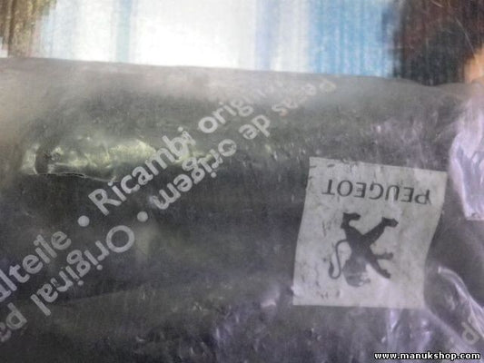 Tornillo RLX  Citroen Peugeot 6912J1 6912.J1