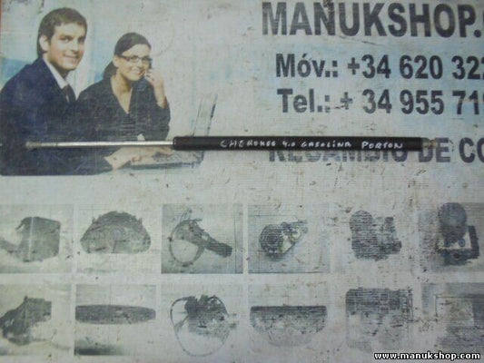 Portón Trasero amortiguador Jeep Grand Cherokee 2.5 XJ 55027180