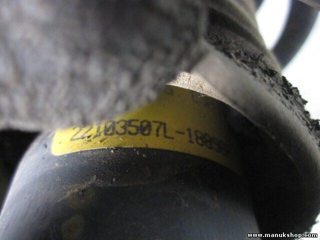 Amortiguador Land Rover Freelander LN 1.8 K4F 2002 DELPHI RPB101650 22103507L